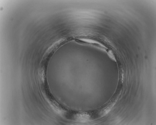 X0000066510644200603241307