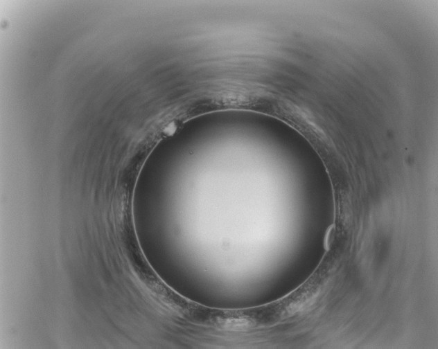 X0000066510645200603241308