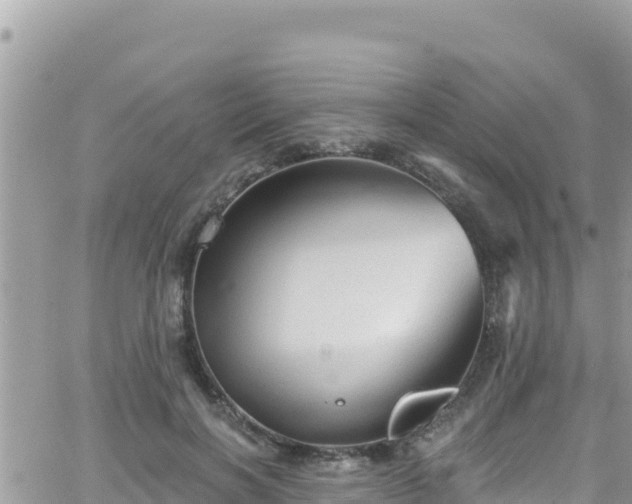 X0000066510646200603241308