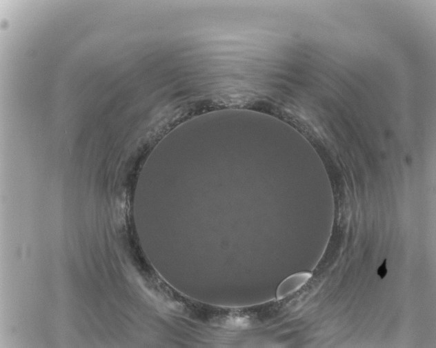 X0000066510647200603241308