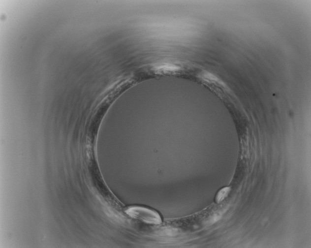 X0000066510648200603241308