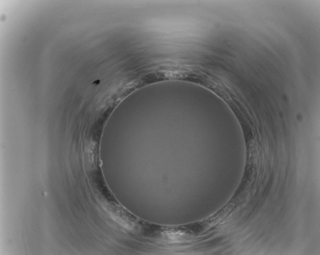 X0000066510650200603241308