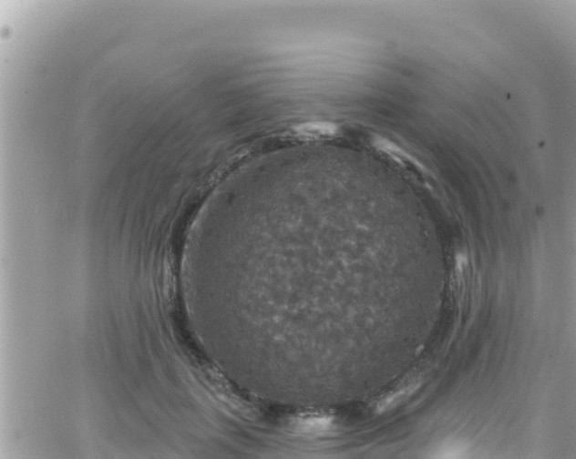 X0000066510651200603241308