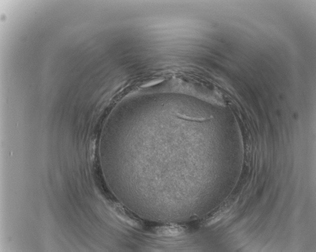 X0000066510652200603241308