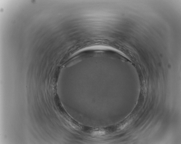 X0000066510653200603241308