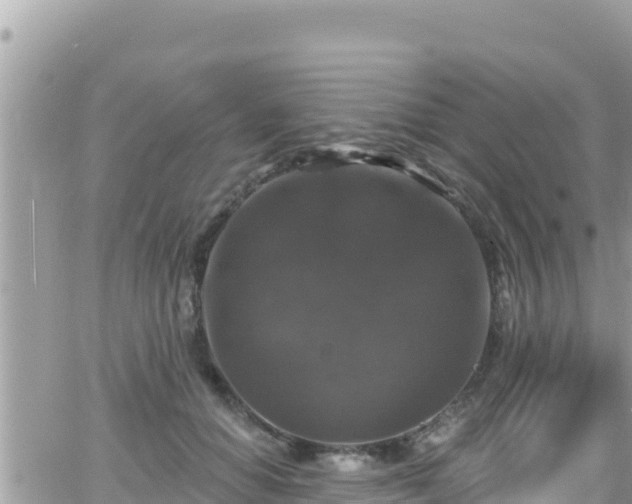 X0000066510654200603241308