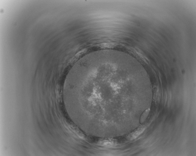 X0000066510655200603241308