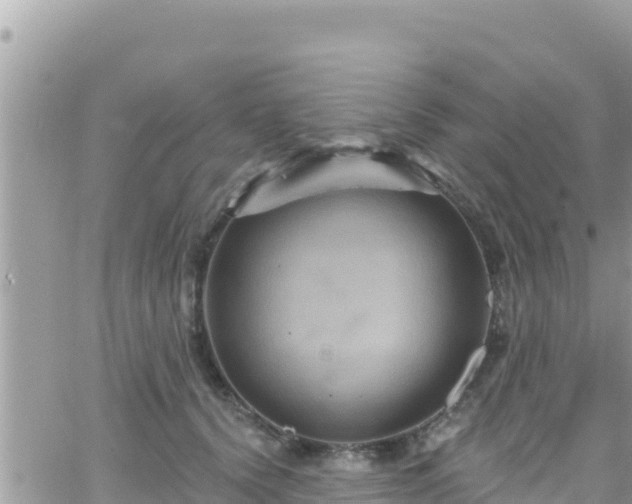 X0000066510656200603241308