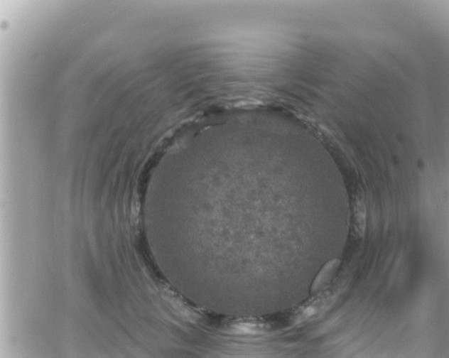 X0000066510657200603241308