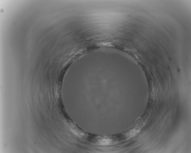 X0000066510658200603241308