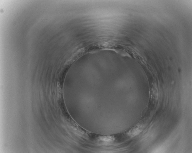 X0000066510659200603241308