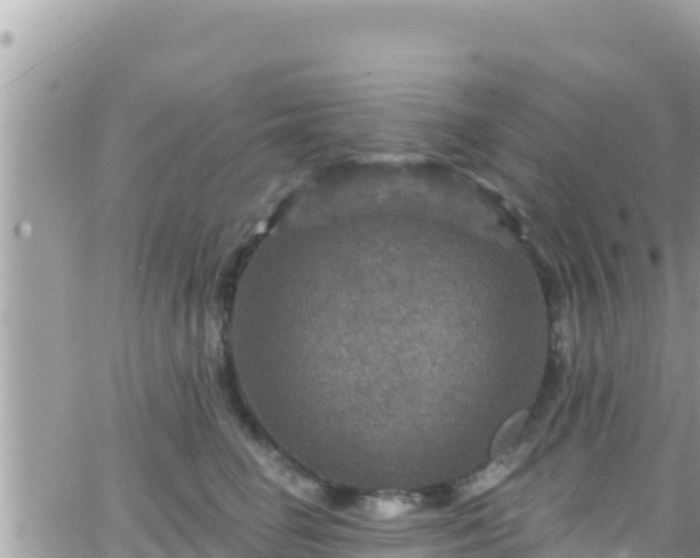 X0000066510662200603241308