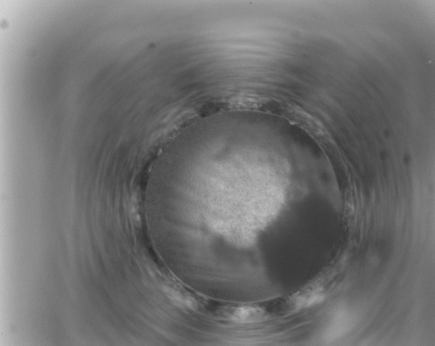 X0000066510663200603241308