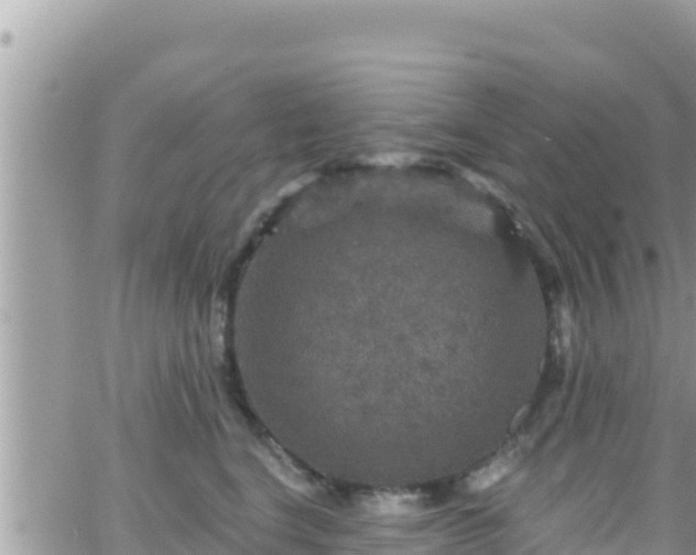 X0000066510664200603241308