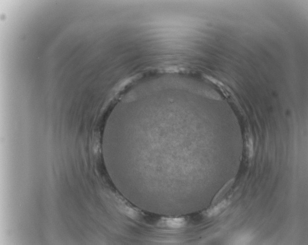 X0000066510665200603241308