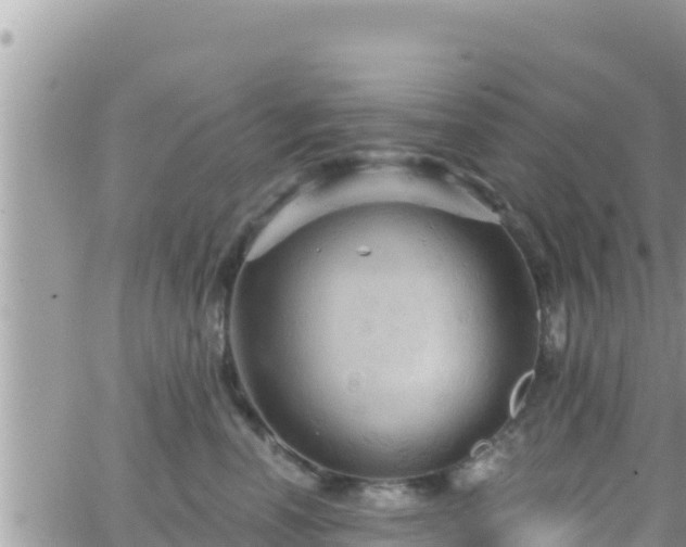 X0000066510666200603241308