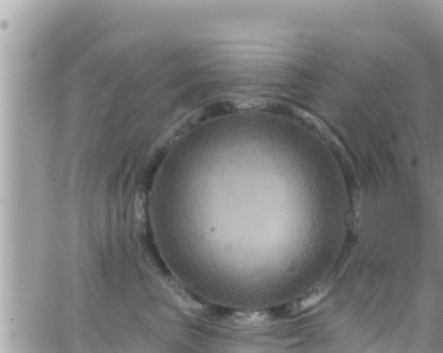 X0000066510667200603241308