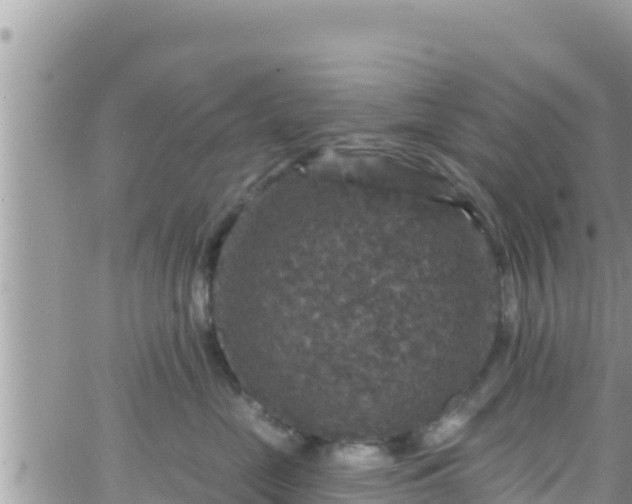 X0000066510669200603241308