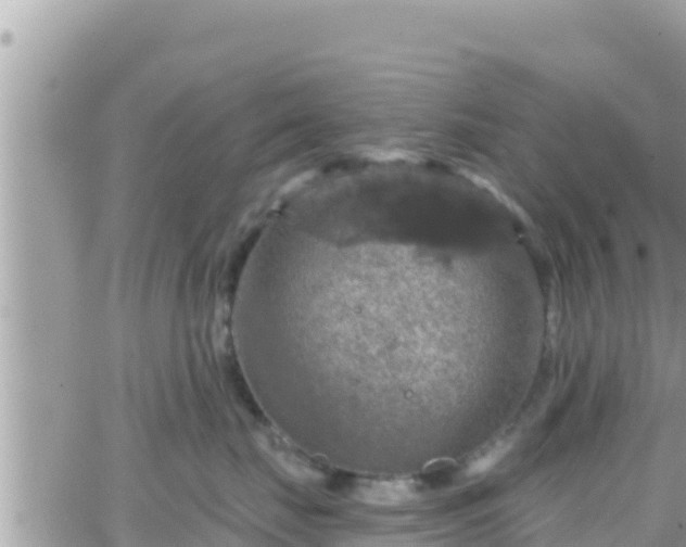 X0000066510671200603241308