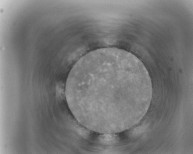 X0000066510672200603241308