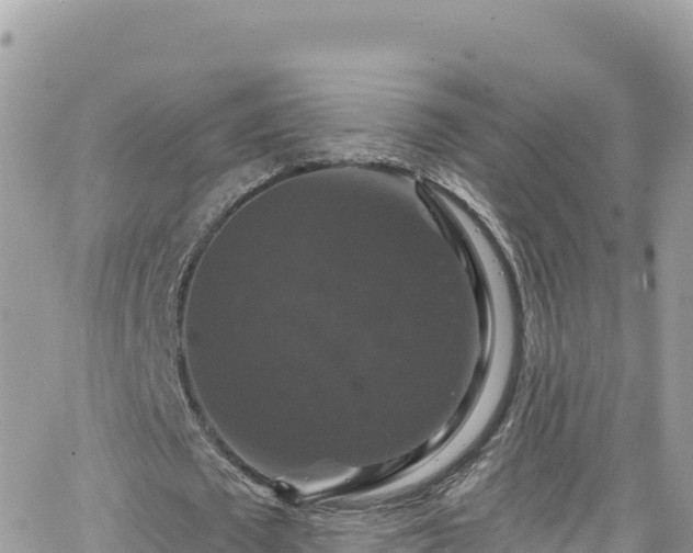 X0000066510673200603241307