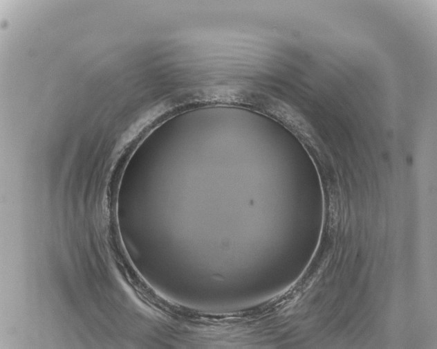 X0000066510674200603241307