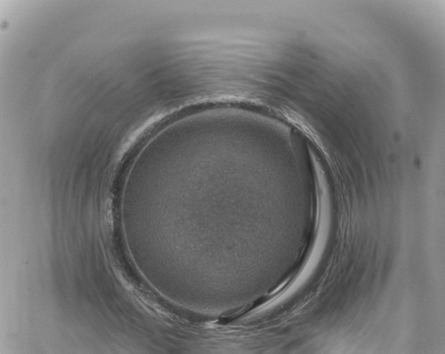 X0000066510676200603241307