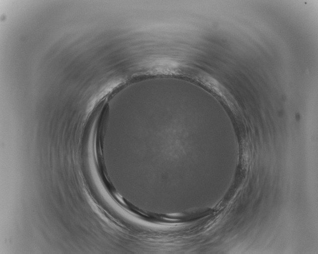 X0000066510677200603241307