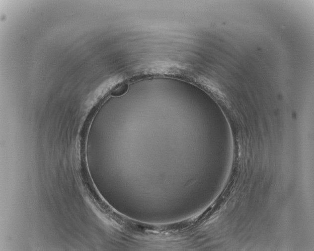 X0000066510678200603241307