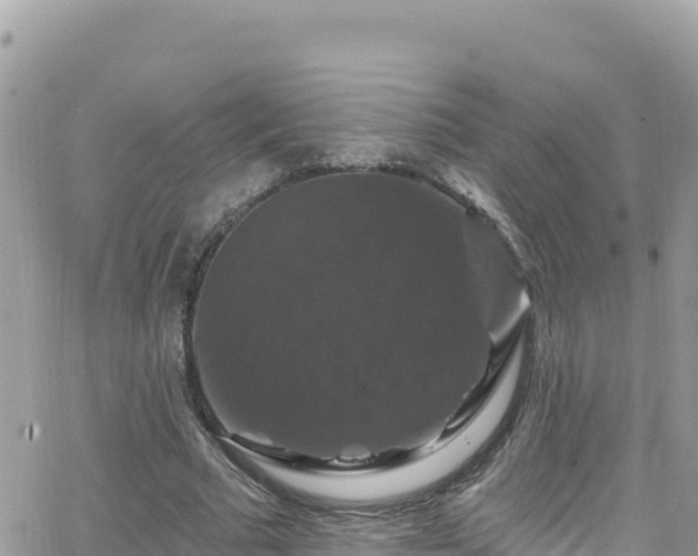 X0000066510681200603241307