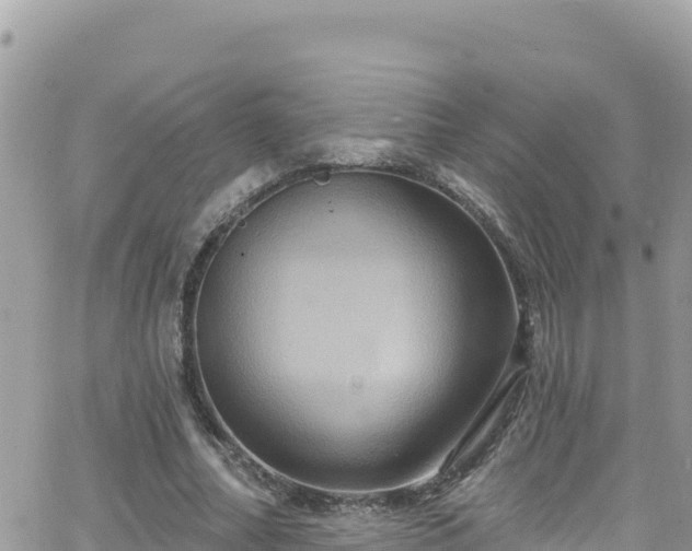 X0000066510682200603241307