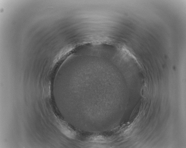 X0000066510685200603241307