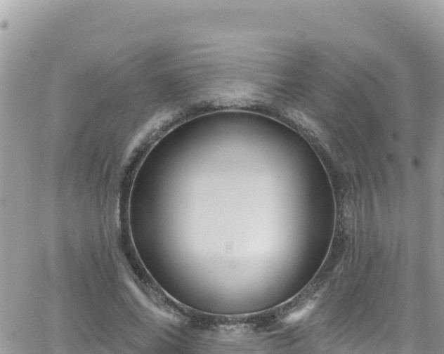 X0000066510686200603241307