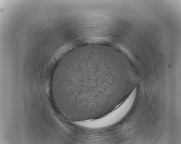 X0000066510687200603241307