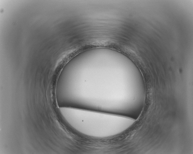 X0000066510688200603241307