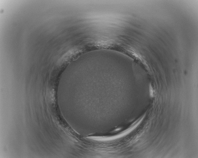 X0000066510689200603241307