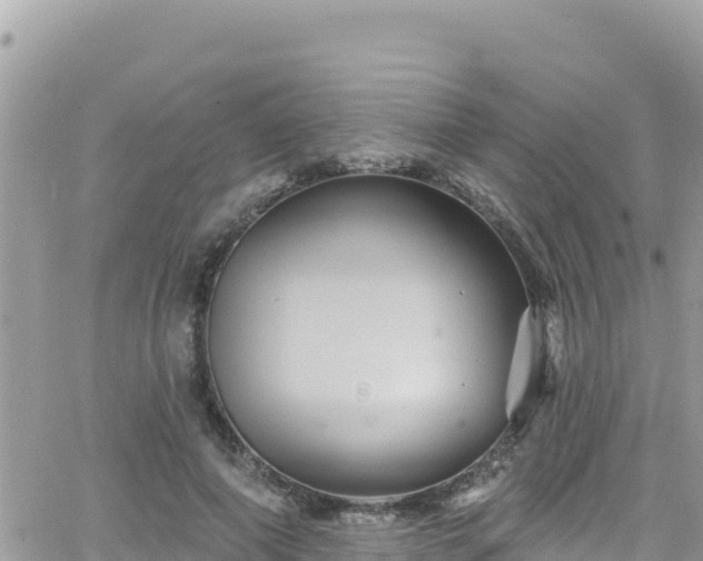 X0000066510690200603241307