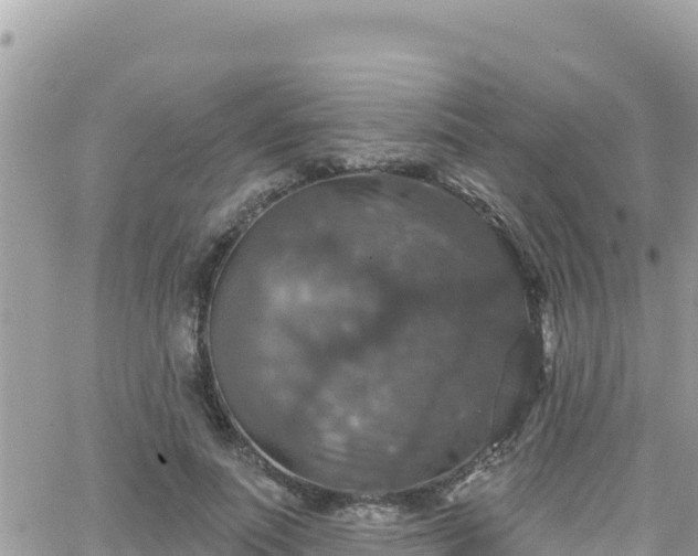 X0000066510691200603241307