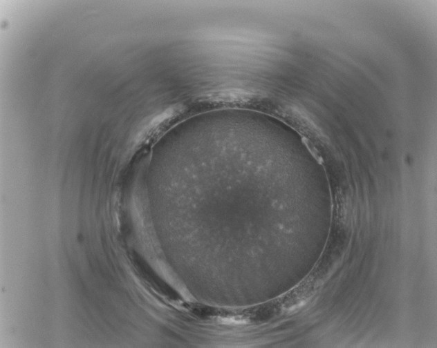 X0000066510692200603241307