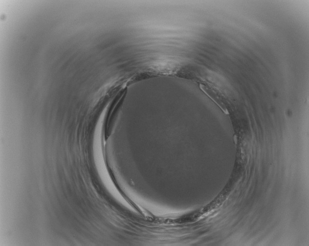 X0000066510693200603241307