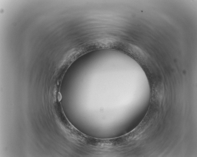 X0000066510694200603241307