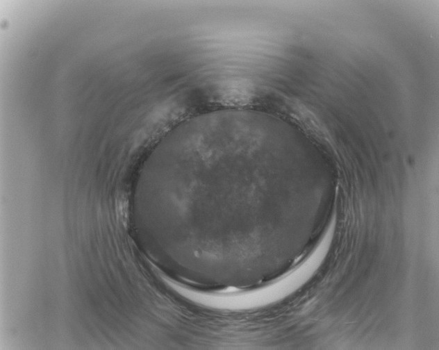 X0000066510697200603241307