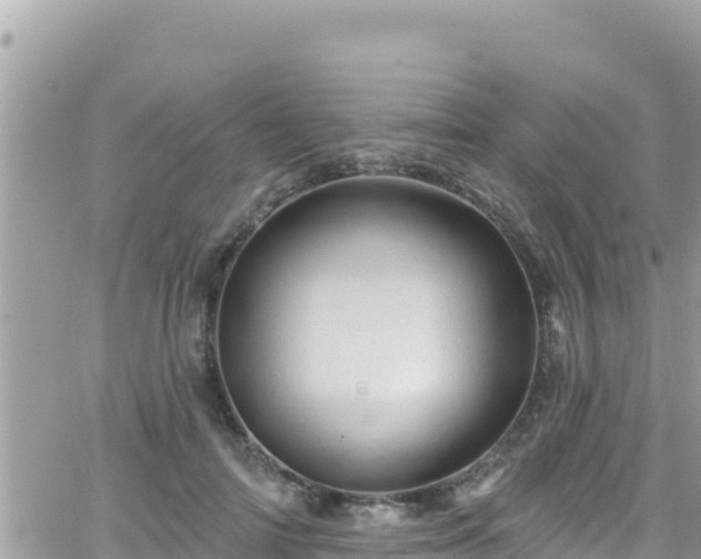 X0000066510698200603241307