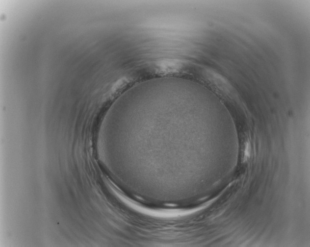 X0000066510700200603241307