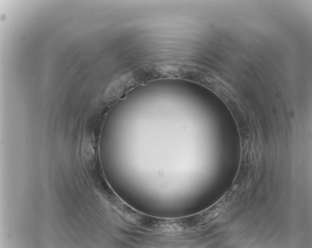 X0000066510702200603241307