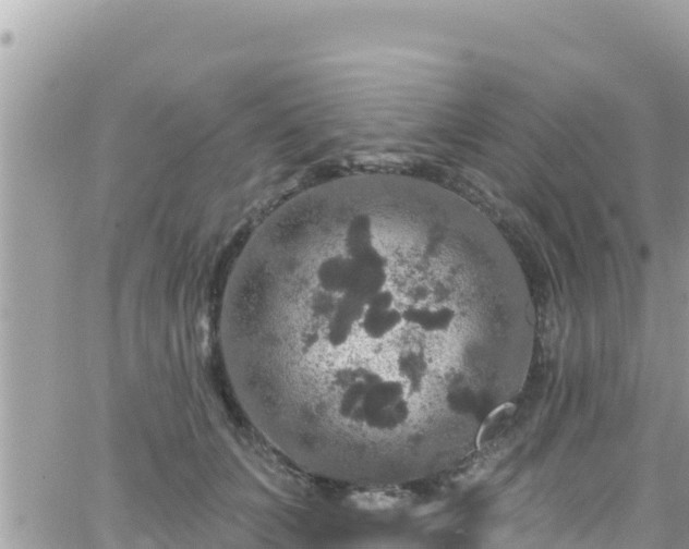 X0000066510703200603241307