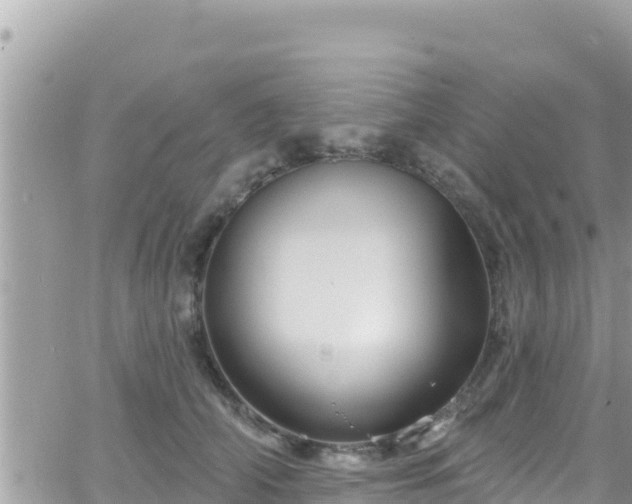 X0000066510706200603241307