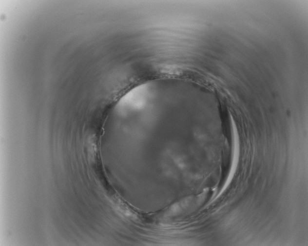 X0000066510707200603241307