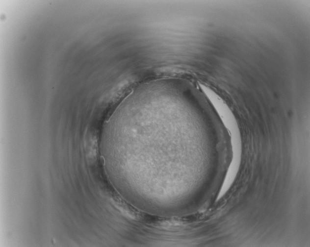 X0000066510708200603241307