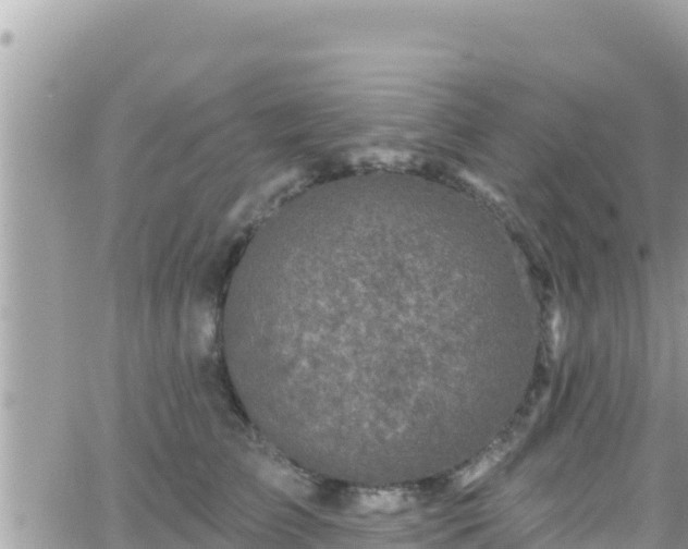 X0000066510709200603241307